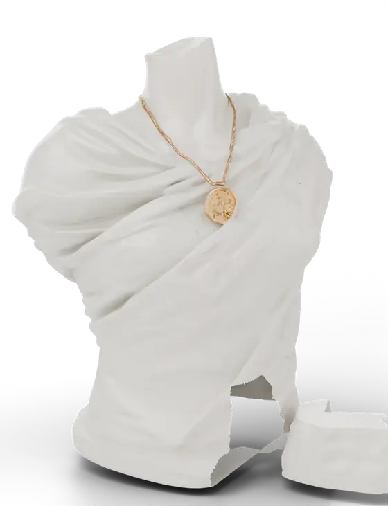 An Aurelle medallion on a draped marble bust